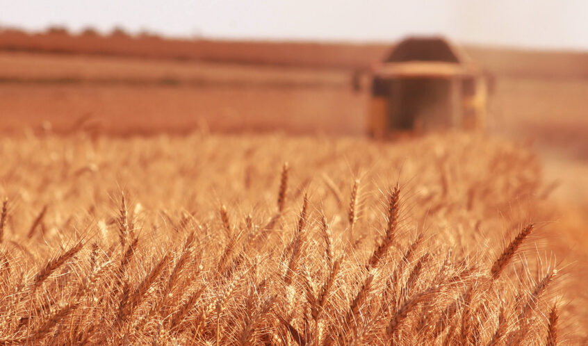 Protection of Breeder’s Rights